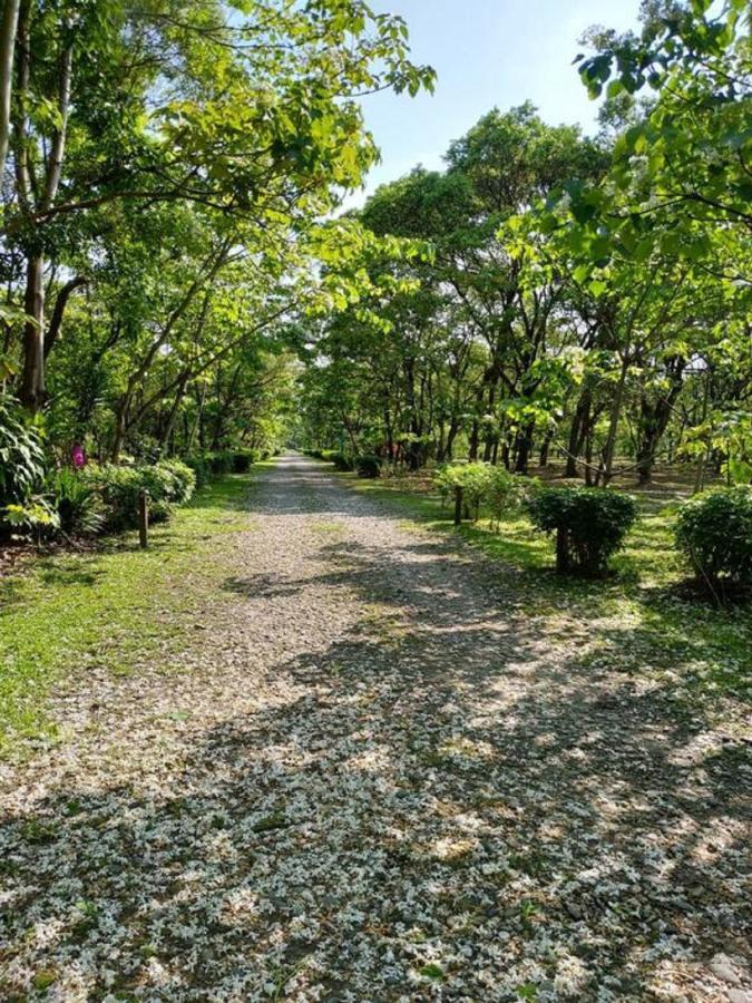花蓮金澤居別墅 Kanazawa House I 寵物友善 吉安 外观 照片